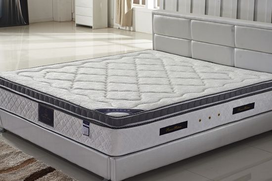 新西兰zoty中欧板材