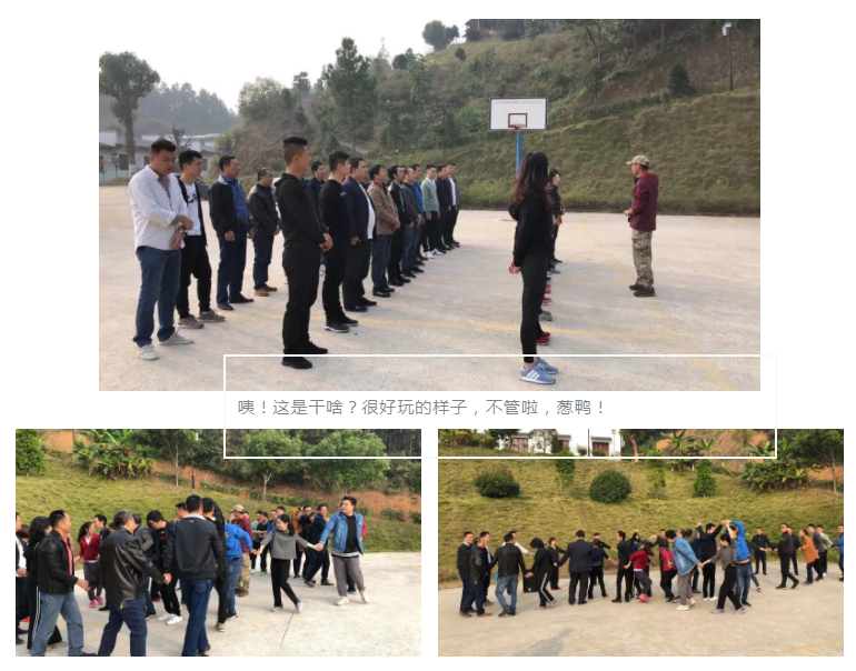 新西兰zoty中欧板材