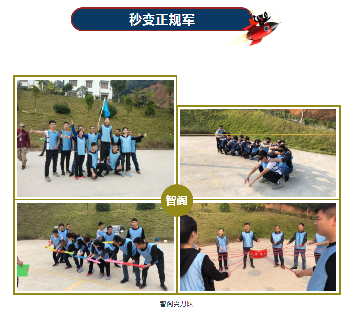 新西兰zoty中欧板材