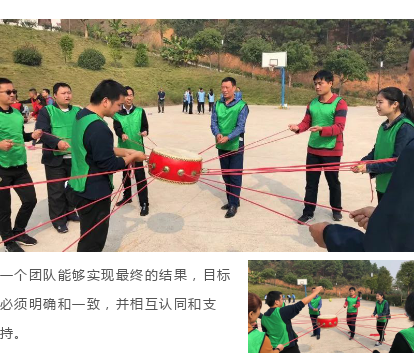 新西兰zoty中欧板材