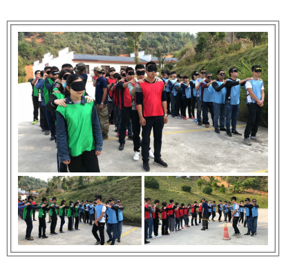 新西兰zoty中欧板材