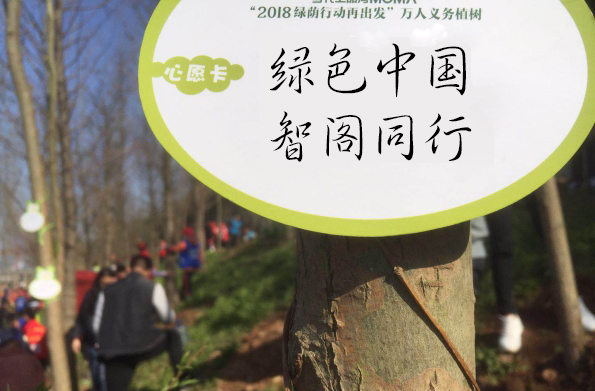 新西兰zoty中欧板材