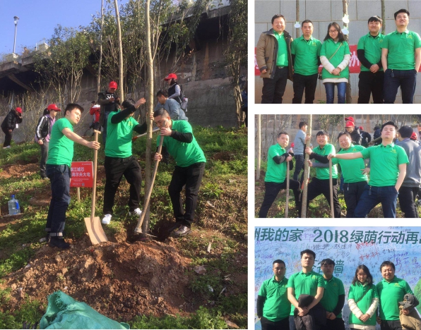 “新西兰zoty中欧板材”