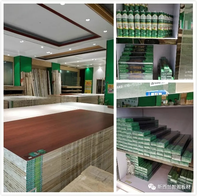 新西兰zoty中欧板材