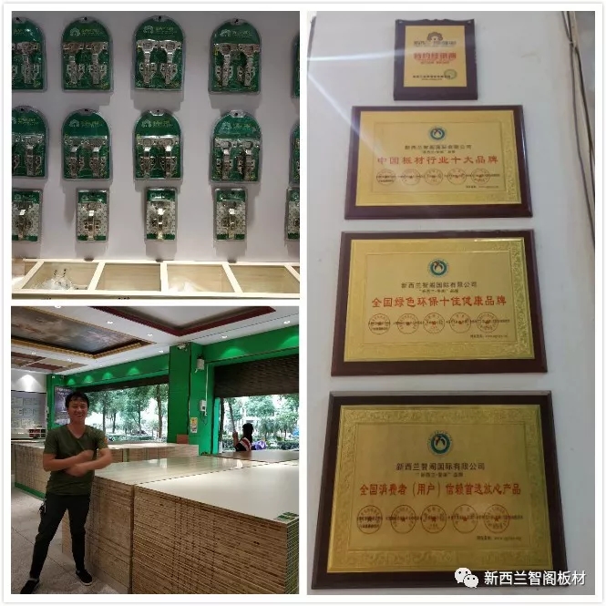 新西兰zoty中欧板材