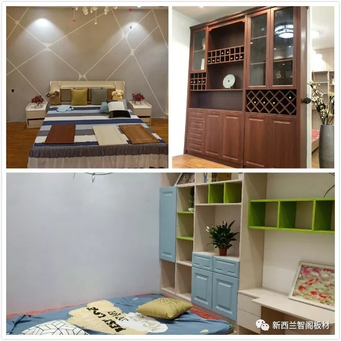 新西兰zoty中欧板材